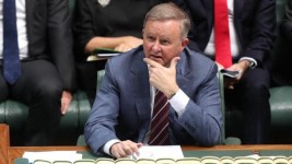 Opposition Leader Anthony Albanese. Picture: Kym Smith
