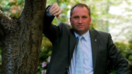 New deputy prime Joyce says banks will be worry about a fall in house prices.